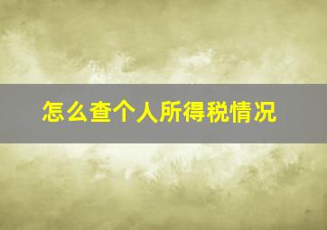 怎么查个人所得税情况