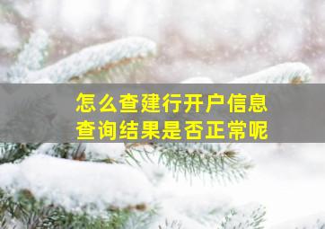 怎么查建行开户信息查询结果是否正常呢