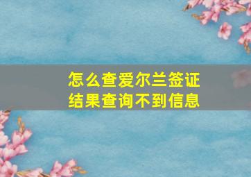 怎么查爱尔兰签证结果查询不到信息