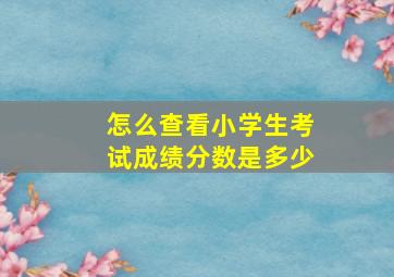 怎么查看小学生考试成绩分数是多少