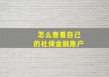 怎么查看自己的社保金融账户