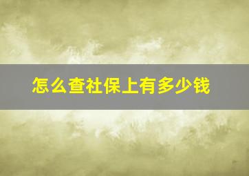 怎么查社保上有多少钱