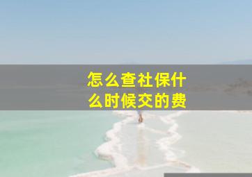 怎么查社保什么时候交的费