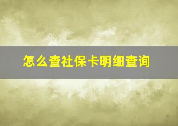 怎么查社保卡明细查询