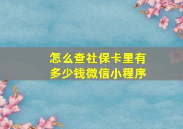 怎么查社保卡里有多少钱微信小程序