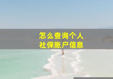 怎么查询个人社保账户信息