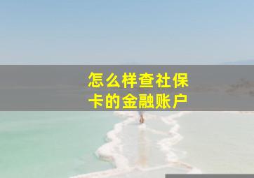 怎么样查社保卡的金融账户