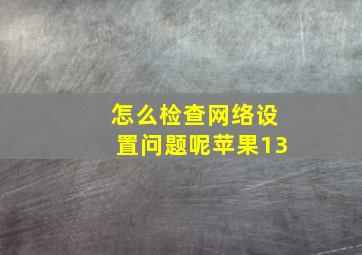 怎么检查网络设置问题呢苹果13