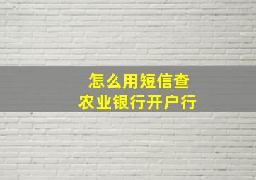 怎么用短信查农业银行开户行