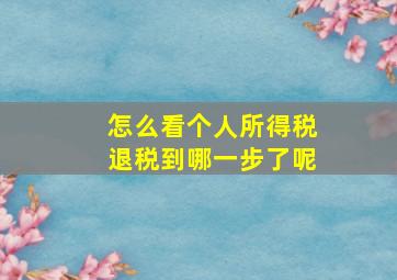 怎么看个人所得税退税到哪一步了呢