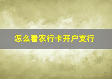 怎么看农行卡开户支行