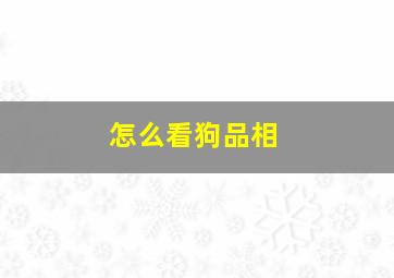 怎么看狗品相