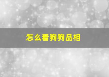 怎么看狗狗品相