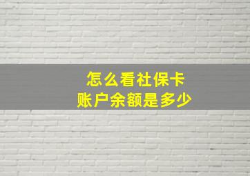 怎么看社保卡账户余额是多少