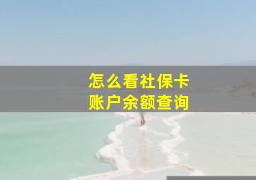 怎么看社保卡账户余额查询