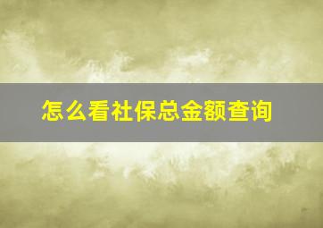 怎么看社保总金额查询