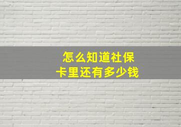 怎么知道社保卡里还有多少钱