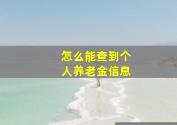 怎么能查到个人养老金信息