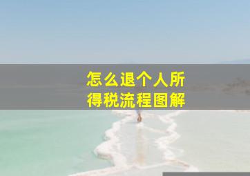 怎么退个人所得税流程图解