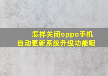 怎样关闭oppo手机自动更新系统升级功能呢