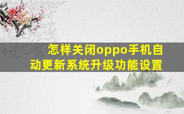 怎样关闭oppo手机自动更新系统升级功能设置