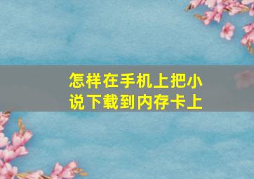 怎样在手机上把小说下载到内存卡上