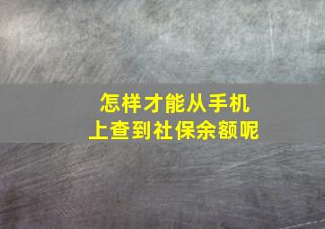 怎样才能从手机上查到社保余额呢