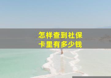 怎样查到社保卡里有多少钱