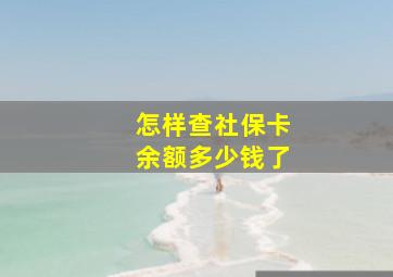 怎样查社保卡余额多少钱了