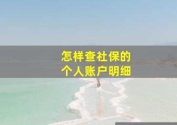 怎样查社保的个人账户明细