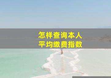 怎样查询本人平均缴费指数