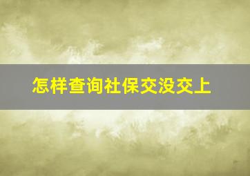 怎样查询社保交没交上