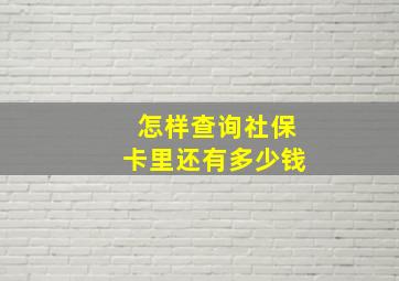 怎样查询社保卡里还有多少钱