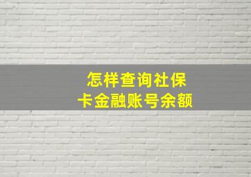 怎样查询社保卡金融账号余额