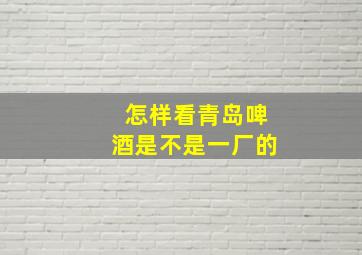 怎样看青岛啤酒是不是一厂的