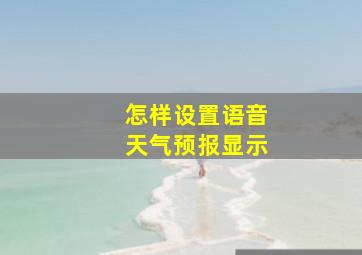 怎样设置语音天气预报显示