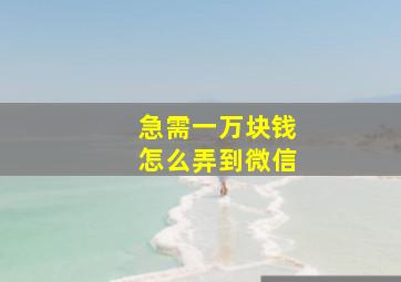 急需一万块钱怎么弄到微信