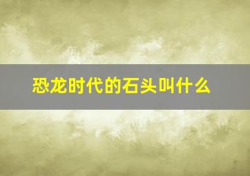 恐龙时代的石头叫什么