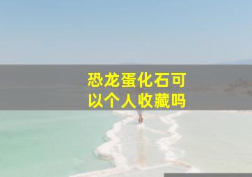 恐龙蛋化石可以个人收藏吗