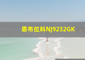 恩布拉科NJ9232GK