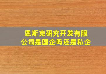 恩斯克研究开发有限公司是国企吗还是私企