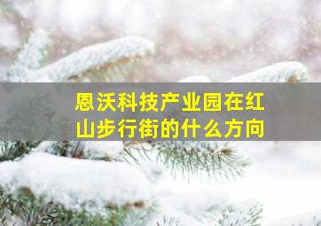 恩沃科技产业园在红山步行街的什么方向