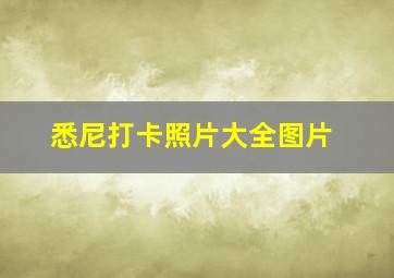 悉尼打卡照片大全图片