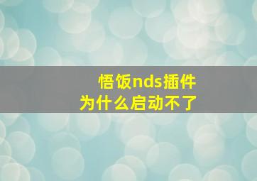 悟饭nds插件为什么启动不了