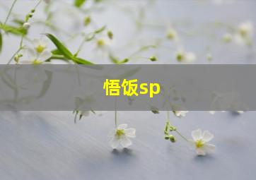 悟饭sp