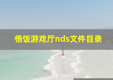 悟饭游戏厅nds文件目录