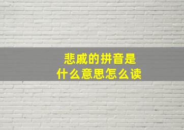 悲戚的拼音是什么意思怎么读