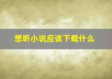 想听小说应该下载什么