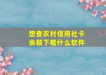 想查农村信用社卡余额下载什么软件