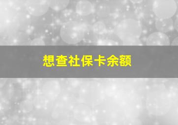 想查社保卡余额